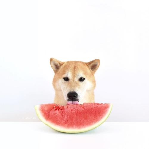 你不怕高空，只怕跌倒