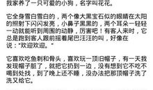 关于动物园的作文