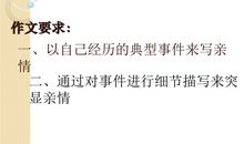 伸出我的手作文