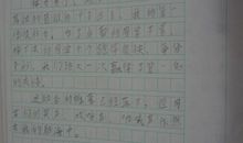 难忘的运动会250字作文