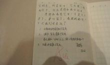 我和小动物的故事作文