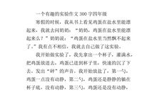 有趣的事作文300字