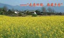 关于走进田园的作文