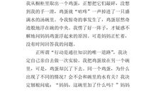 我的一次科学尝试作文