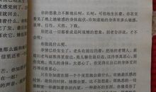 顾城作品读后感