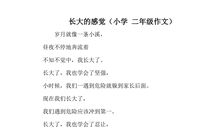 长大的感觉作文600字