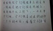 保护动物的作文