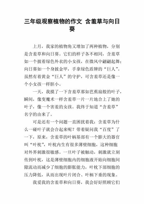 观察植物的成分