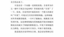 观察一种植物的作文