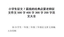 我的启蒙老师作文500字