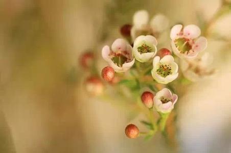 一诺，一约，一亲，一心，一念，一命