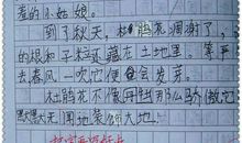 我最喜欢的花400字作文