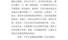 我飞了读后感450字