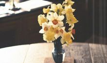 因为喜欢，所以情愿，没有那么多为什么