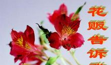 有一位花贩告诉我