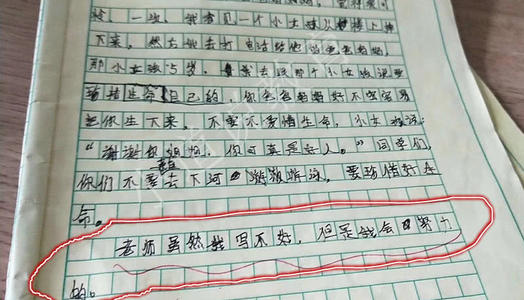 我老师的作文很好