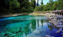 写九寨沟的作文