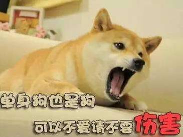 七夕单身狗2的有趣时刻