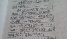 介绍小动物的作文