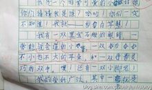 这就是我作文200字