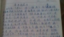 善意的谎言作文700字