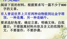 老鹰捉小鸡作文400字