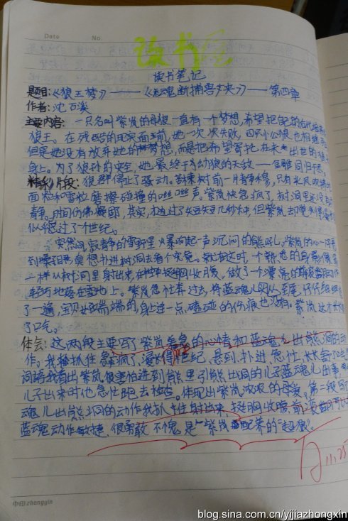 看完人与动物的故事