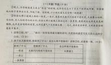 小学三年级作文这就是我