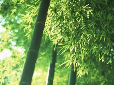 炎热的夏天,在城市的夜晚,沐浴在雨中