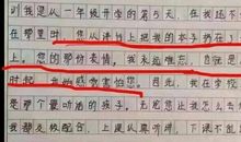 令我深思的一件事作文