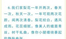 我不会再流泪作文