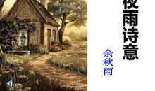 夜雨诗意读后感