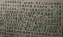 老鹰捉小鸡作文600字