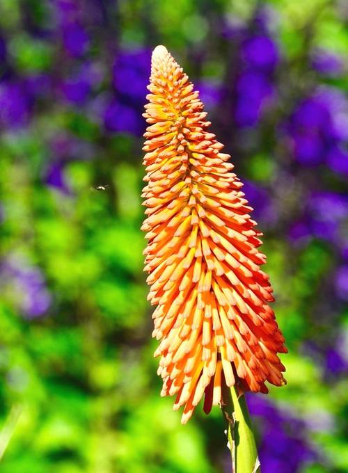 随着你的岁月，这是阳光明媚的季节