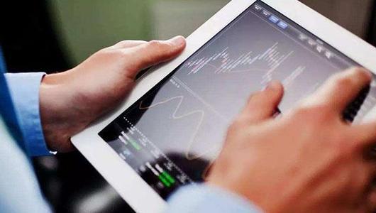 南方美女张岚：从无到有，与狼共舞