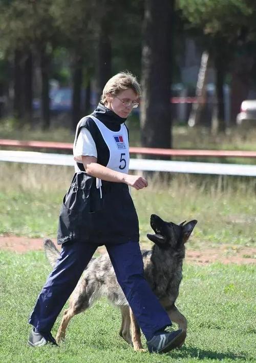 我的父母，我能做些什么来支持你