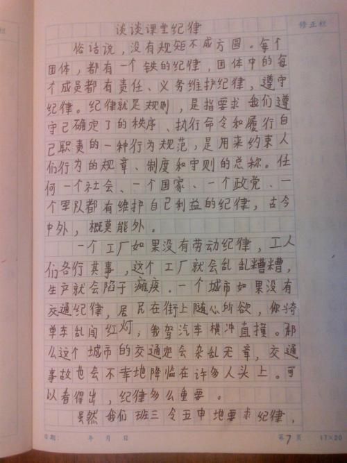 鹰捉鸡300字