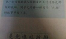 我最喜欢的礼物作文