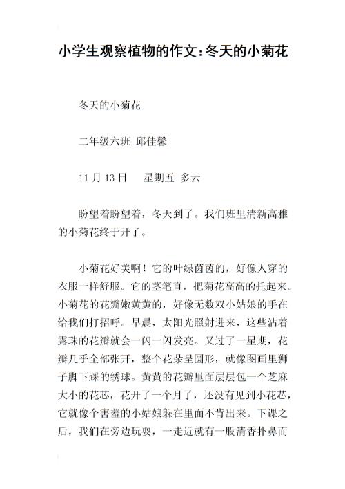 描述菊花展览的作品