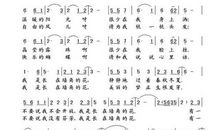 墙角的花读后感