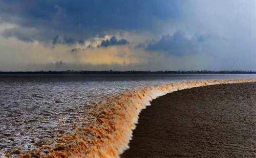 钱塘江观潮组成