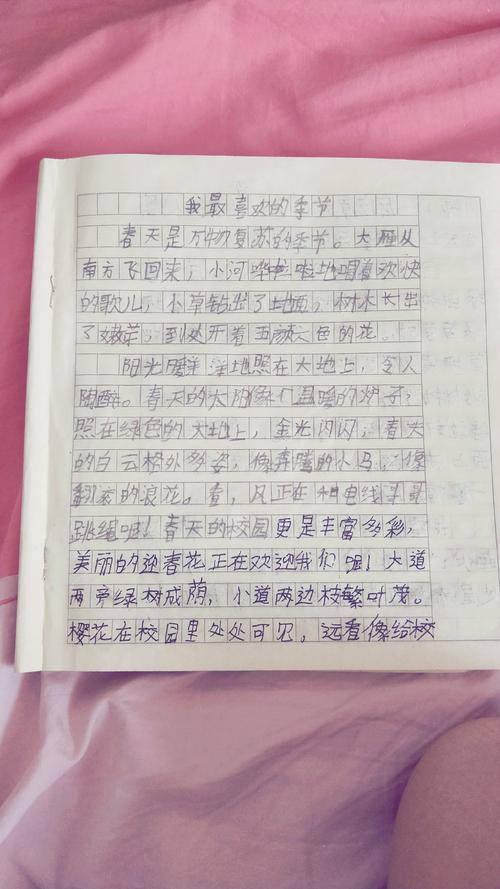 我最喜欢的鸟组成