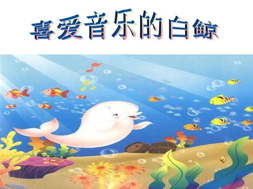 阅读喜欢音乐的白鲸后的思考