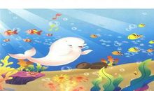 喜欢音乐的白鲸读后感