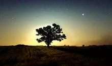 得而不喜、失而不泣、处变不惊，笑看生活