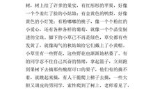 秋天的快乐作文300字