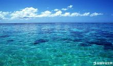 面朝大海读后感