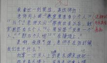 关于写人的作文300字
