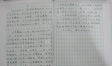 关于写人的作文500字