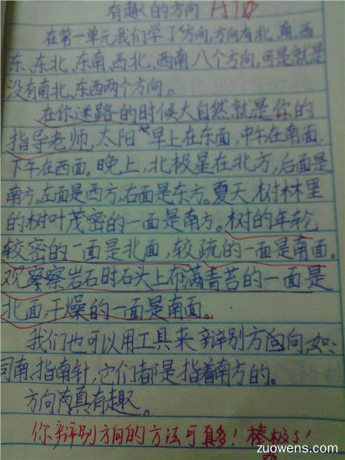 秋季快乐作文400字